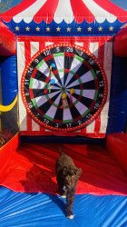 VIP Inflatable Dartboard game (Inflate-DBG)