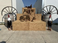 Wagon20wheel20upright20ON20BALES20WITH20ROOSTERS 1721668342 Wagon wheel upright with buckets (WD-Wheel4)