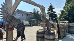 Eagle - decor for outdoors or western ( WD- EAGLE)