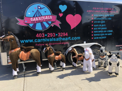 Pony Cycle - Medium (GS-2028M)